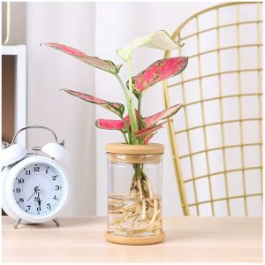 ABS Vase Set - Plastic Hydroponic Planters with Lids - 3 Piece Set - Image 3