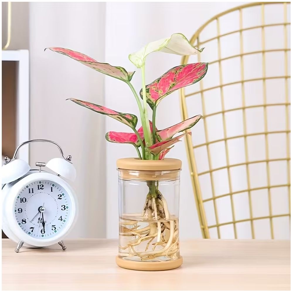 ABS Vase Set - Plastic Hydroponic Planters with Lids - 3 Piece Set