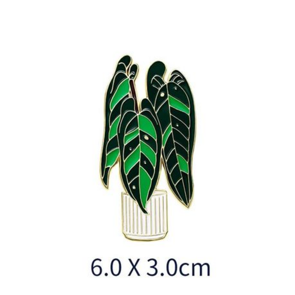Queen Anthurium & Hardy Begonia Magnet Set with Floating Display Frames
