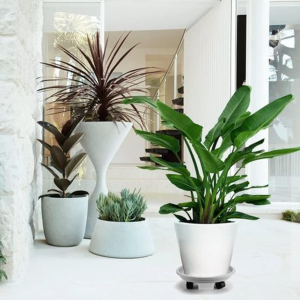 3 Piece Plant Caddy With Wheels And Drainage Tray - Image 3