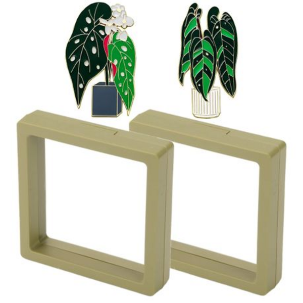 Queen Anthurium & Hardy Begonia Magnet Set with Floating Display Frames
