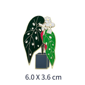 Queen Anthurium & Hardy Begonia Magnet Set with Floating Display Frames - Image 3